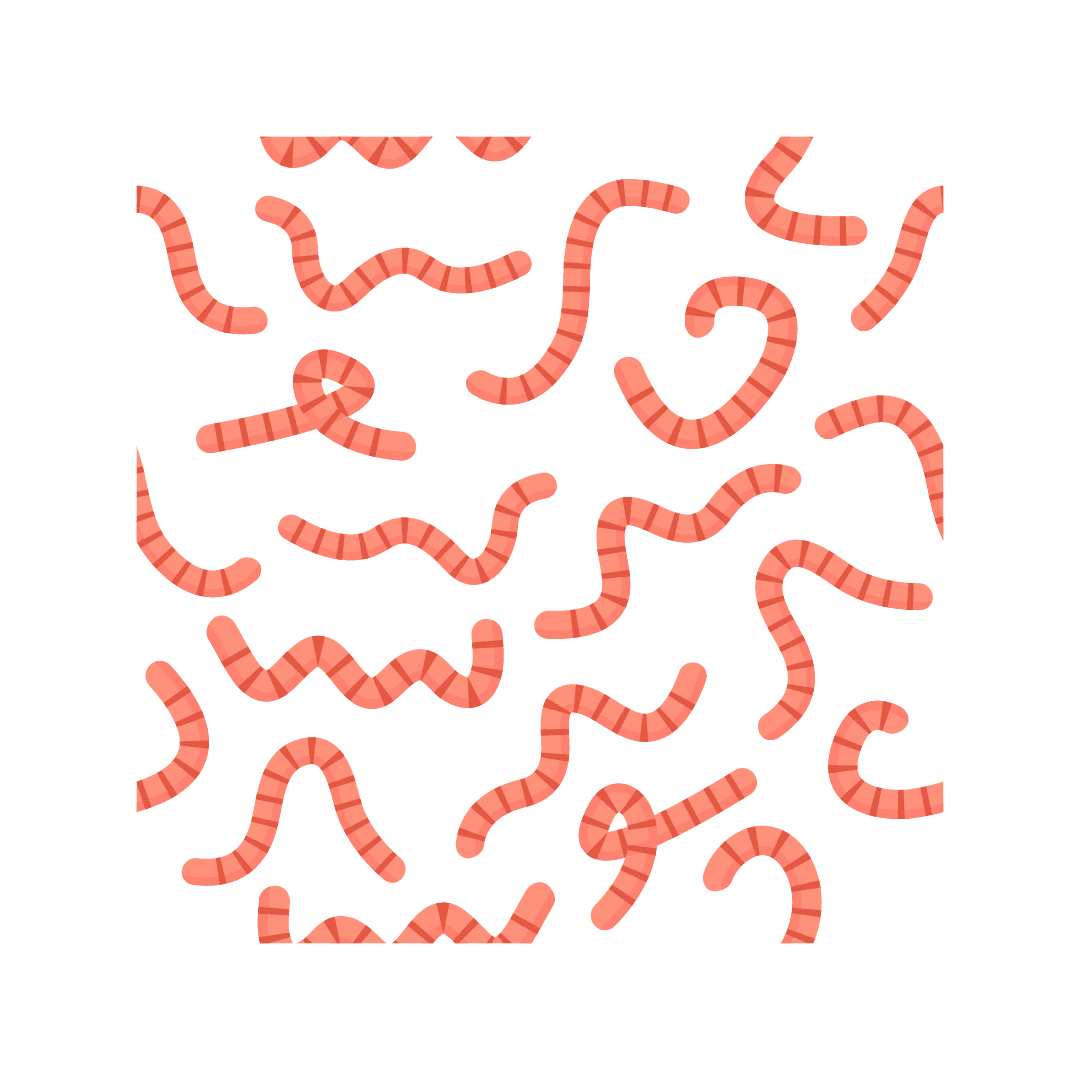 Helminthiasis (zakażenie robakami)