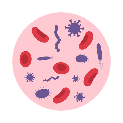Staphylococcus aureus (hemolityczny)